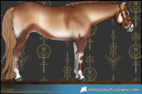 Horse Color:Red Onyx