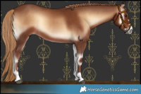 Horse Color:Red Onyx