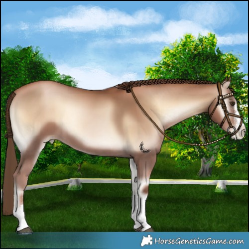 Horse Color:Liver Red Onyx Pearl 