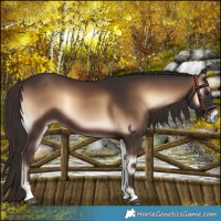 Horse Color:Liver Red Onyx 