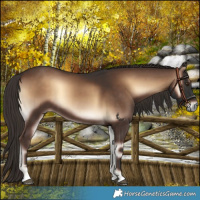 Horse Color:Liver Red Onyx