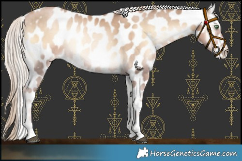 Horse Color:Chocolate Palomino Pearl Onyx Appaloosa Rabicano 