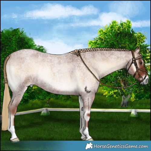 Horse Color:Red Onyx Roan Rabicano 