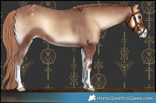 Horse Color:Red Onyx Varnish 