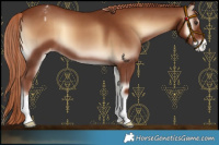 Horse Color:Red Onyx Appaloosa 
