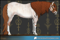 Horse Color:Red Onyx Roan 