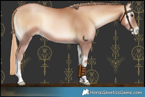 Horse Color:Red Onyx Pearl 