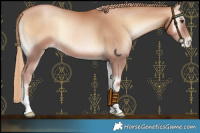 Horse Color:Red Onyx Pearl 