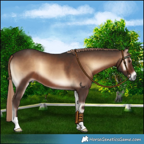 Horse Color:Liver Red Onyx 
