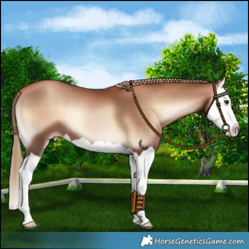Horse Color:Liver Red Onyx Pearl Splash 