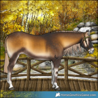 Horse Color:Chocolate Palomino Onyx