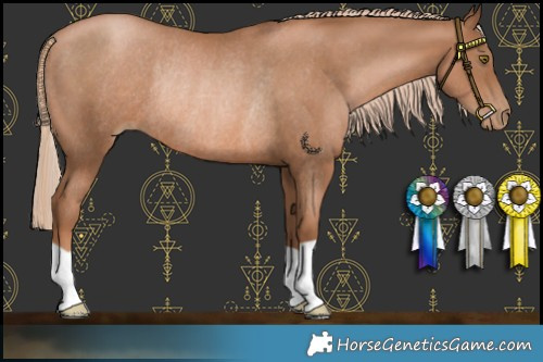 Horse Color:Liver Chestnut Pearl Rabicano 