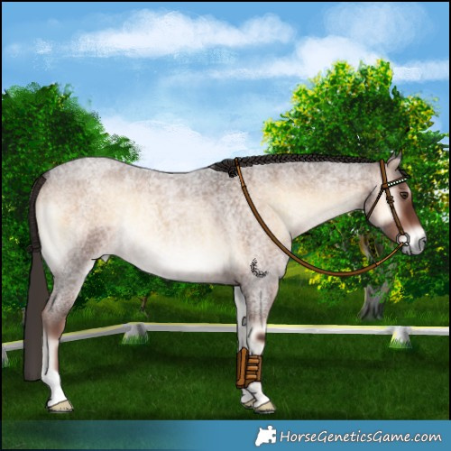 Horse Color:Liver Red Onyx Roan 