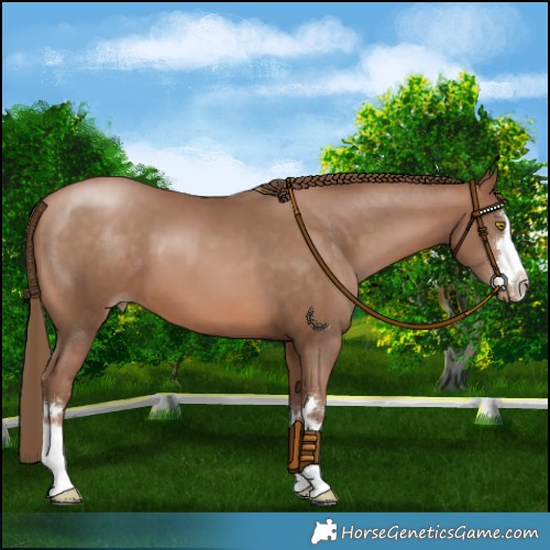Horse Color:Brown Pearl 