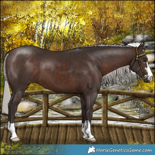 Horse Color:Silver Brown 