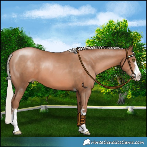 Horse Color:Silver Brown Pearl