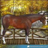 Horse Color:Silver Brown 