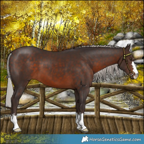 Horse Color:Silver Brown 