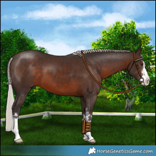 Horse Color:Silver Brown 