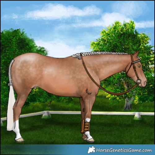 Horse Color:Silver Brown Pearl