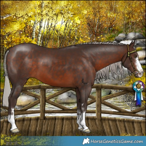 Horse Color:Silver Brown 