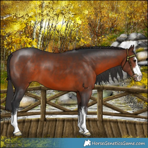 Horse Color:Brown 