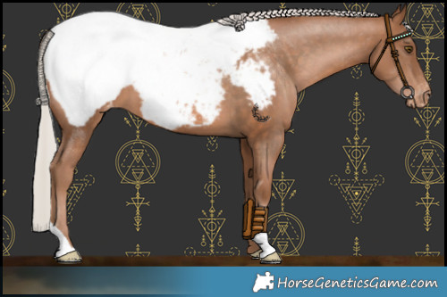 Horse Color:Silver Brown Pearl Snowcap 