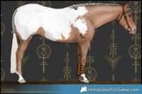 Horse Color:Silver Brown Pearl Snowcap
