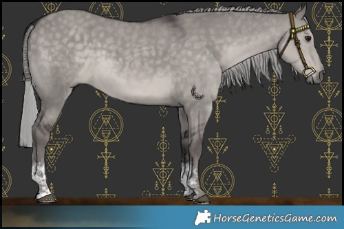 Horse Color:Platinum Silver Smoky Grullo Sabino Rabicano 