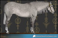 Horse Color:Platinum Silver Smoky Grullo Sabino Rabicano
