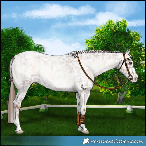 Horse Color:Red Onyx Roan Snowflake Varnish 