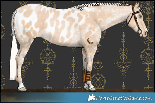 Horse Color:Silver Buckskin Pearl Near Leopard 