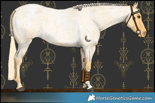 Horse Color:Palomino Roan Varnish 