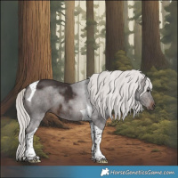 Horse Color:Silver Brown Tobiano 