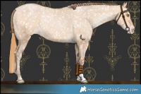 Horse Color:Bay Pearl Dun Snowflake Varnish