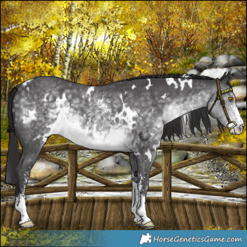 Horse Color:Platinum White Spotted Buckskin Mushroom Sabino