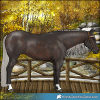 Horse Color:Silver Brown 
