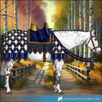 Horse Color:Gray Grullo Leopard Rabicano 