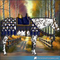 Horse Color:Gray Grullo Appaloosa Rabicano 