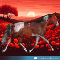 Horse Color:Bay Splash Tobiano Appaloosa Rabicano 