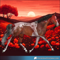 Horse Color:Bay Splash Tobiano Appaloosa Rabicano 