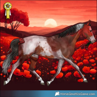 Horse Color:Bay Splash Tobiano Appaloosa Rabicano 