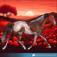 Horse Color:Bay Splash Tobiano Snowcap Rabicano