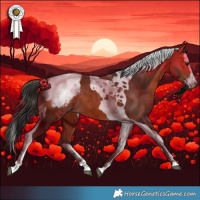 Horse Color:Bay Splash Tobiano Appaloosa Rabicano 