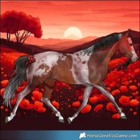 Horse Color:Bay Splash Tobiano Appaloosa Rabicano 