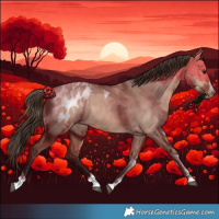 Horse Color:Bay Dun Splash Tobiano Blanket Rabicano 