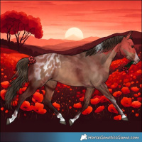 Horse Color:Bay Dun Splash Tobiano Appaloosa Rabicano