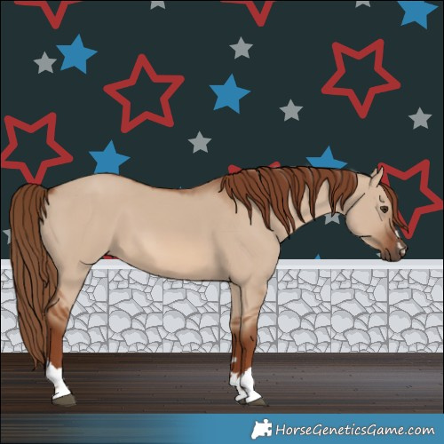 Horse Color:Red Dun 
