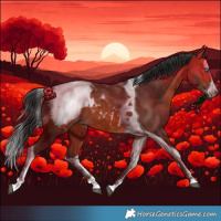 Horse Color:Bay Splash Tobiano Appaloosa Rabicano