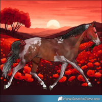 Horse Color:Bay Splash Tobiano Appaloosa Rabicano 